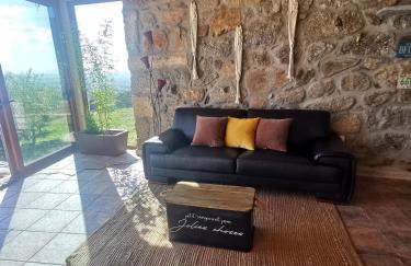 Casa do Penedo Castle House - Foto 64