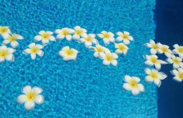 Holiday Home Green Paradise - Foto 23