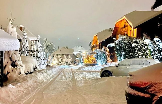 Green Hill Zlatibor Apartment - Photo 1