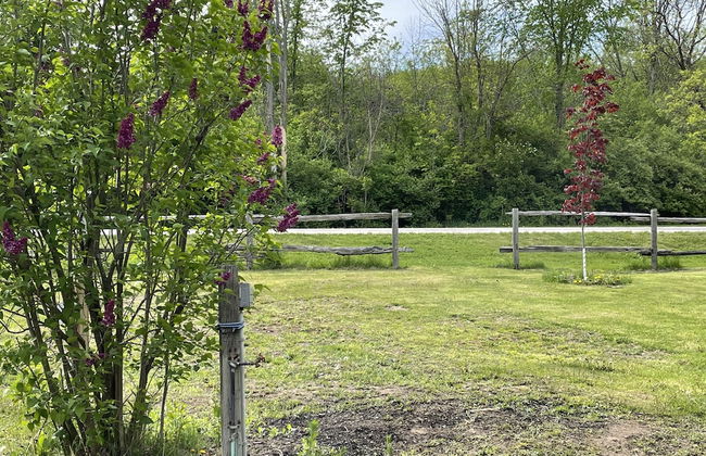 Catch More Resort - Foto 70