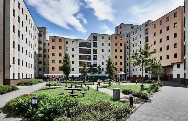 Student Only St David's - Photo 14