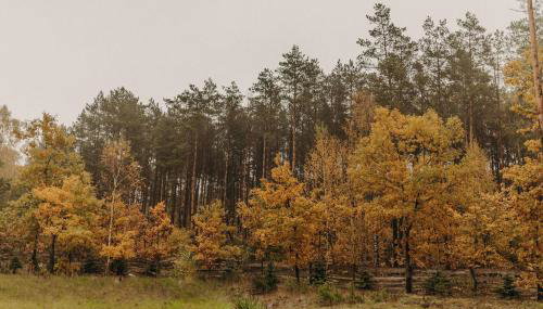 Domek na skarpie - Foto 3