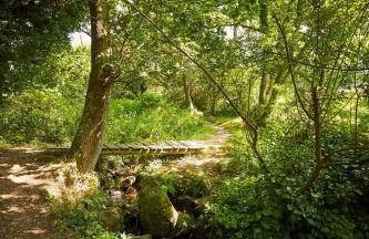 longère ty nico 1 chambre - Foto 29