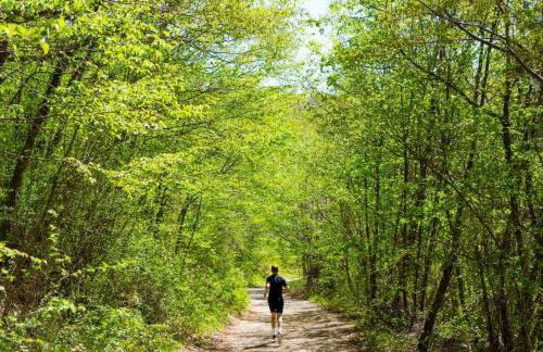 Villa Piano - Foto 35