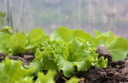 Terra Del Bosco Agriturismo - Foto 35