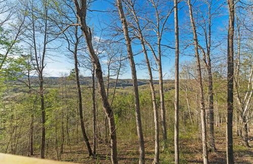 Cabin 4 Mtn View Cabin Near River with Fire Pit and Hot Tub - Foto 26