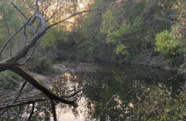 Cabin 2 - steps from the river! - Foto 19