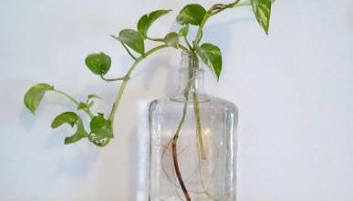 Apartamento San Agustín - Foto 5