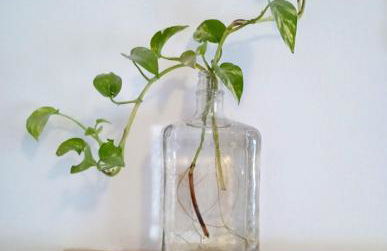 Apartamento San Agustín - Foto 5