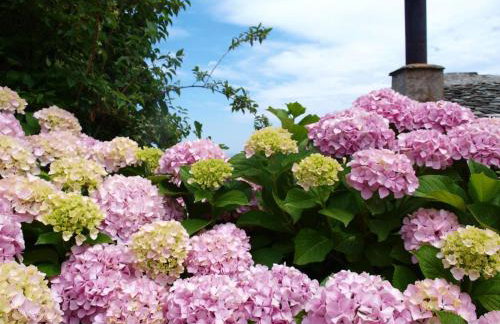 Villa Zina in Pelion - Foto 40