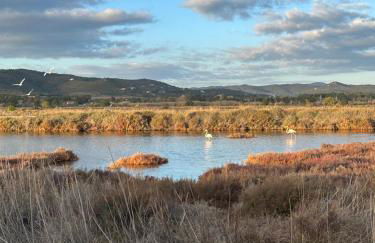 Appartement cosy en bord de mer - Foto 21