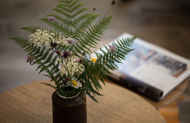 The Starlings Apartments - Foto 47