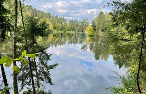 Leśna Baszta - Foto 25