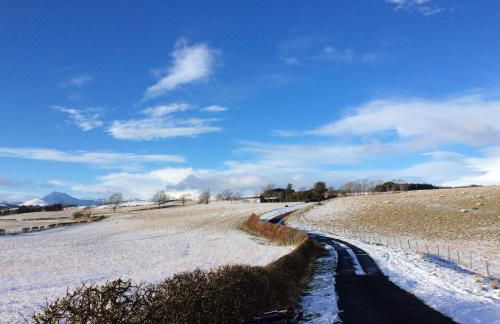 Garden Studio for Two - Foto 22