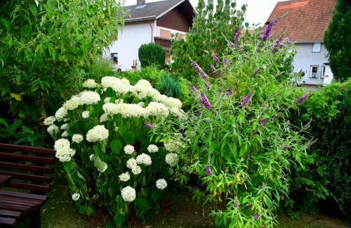 Ferienwohnung Koch Nr 5 Souterrainwohnung - Foto 14