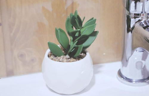 Retiro de Várzeas . Casa de Turismo Rural - Foto 11