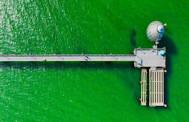 Apartment, Zingst - Foto 71