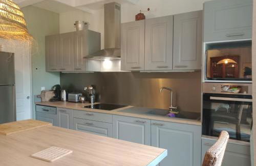 DOMAINE DES TISSEYS vue sur le Mont St Michel - Foto 8