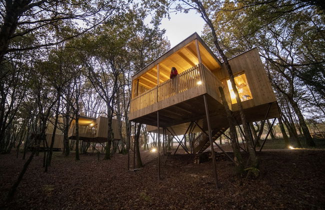 Enoturismo María Manuela - Photo 53