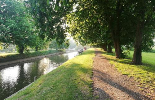 Rosehips at Kerensa, Naburn - Foto 18