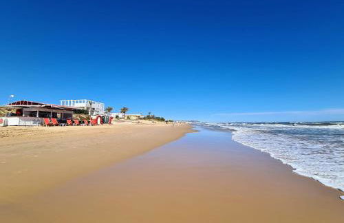 Oliva Moon - Photo 48