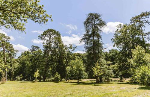 Domaine de Pérenard - Foto 34