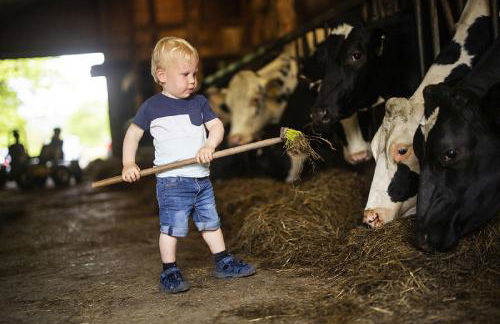 Gut Frielinghausen - Foto 30