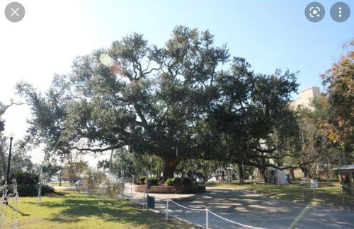 Historic GWALTNEY HOUSE-Cottage at St Andrew's Bay - Photo 38