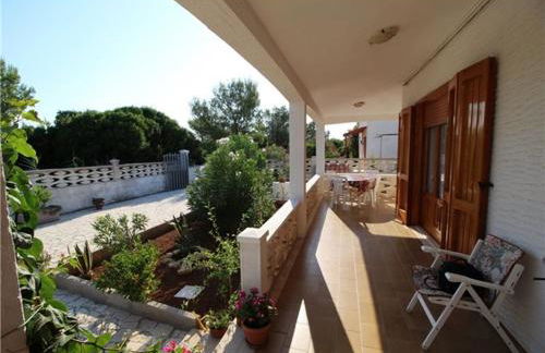 Speroni d'oro - Foto 13