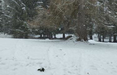 Villa Larici piano terra - Foto 19