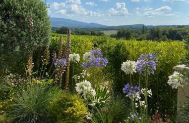 Le Mazet d'Emilia avec jardin et piscine privés - Foto 27