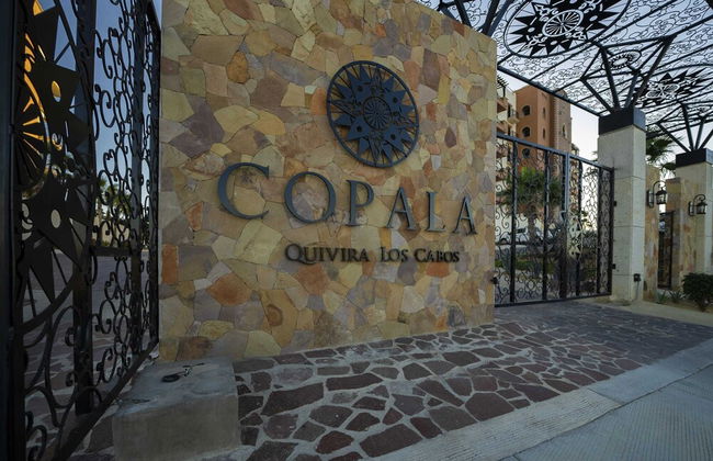 Cabo Beach Cottage, Oceanview, 35 off Quivira Golf - Direct Access to the Beach - Photo 27