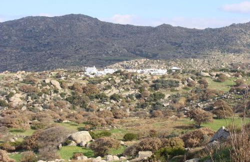 ''Cactaki'' Studio - Foto 11