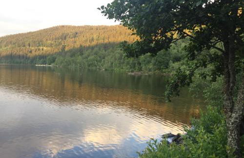 Titisee Haus Vogelnest - Photo 49