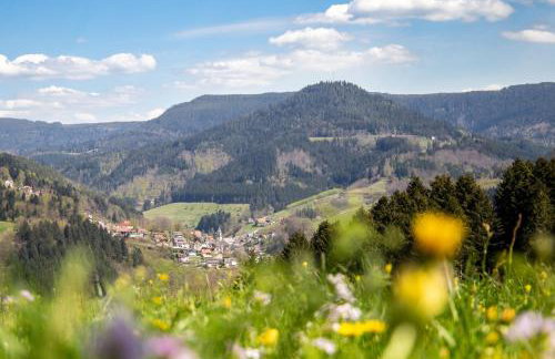 Apartment Sonnenglück im Schwarzwald with Panoramaview, Terrace, 3 Bedrooms - Foto 26