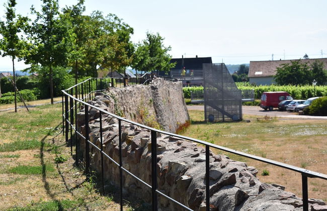 S'harzala Vert Bis - Foto 13