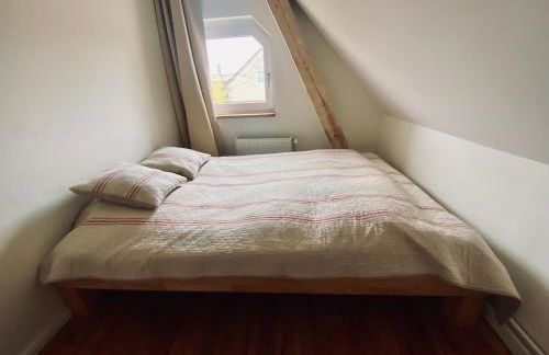 Urlaubsidylle Friedrichswalde - Foto 13