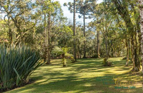 Suíte Mountain Village - Foto 44