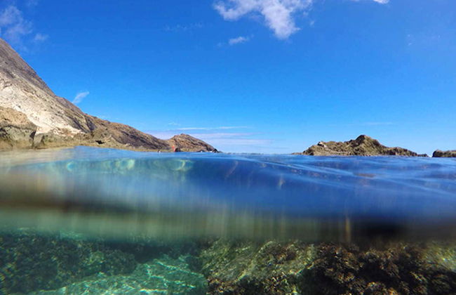 Porto dos Frades Snorkelling - Foto 6