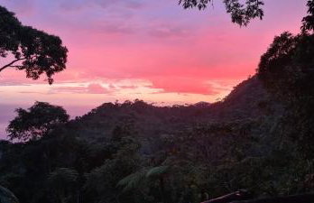 Chalé dos Altos de Laranjeiras - Foto 14