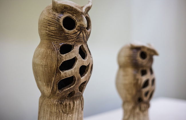 Rancho Haas - Photo 59