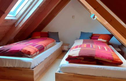 Ferienwohnung Lippert - Foto 22