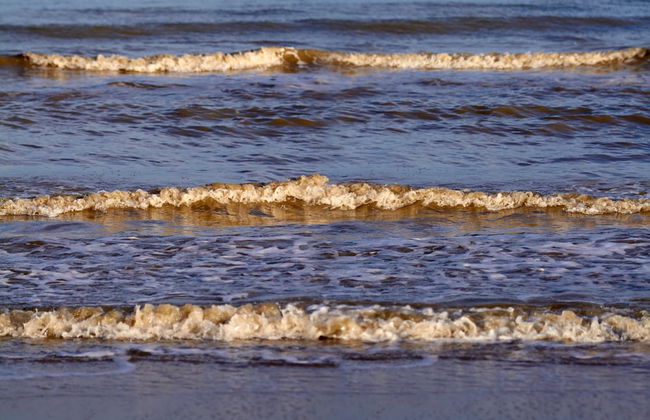 Quaint Holiday Home in Nieuwvliet-Bad near Sea Beach - Foto 36