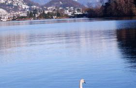 Lavena - LAKE & MOUNTAIN Apartments - Foto 29