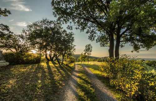 Parco di Montebello - Foto 72