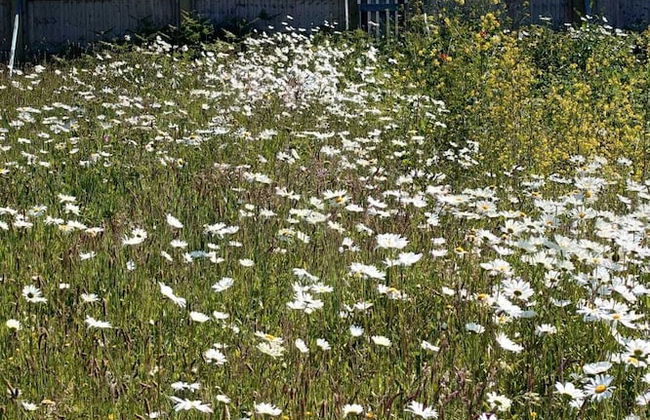 Watergate Lane Hideout - Foto 30