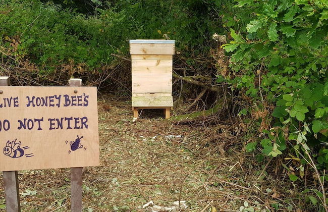 Macdonald Plas Talgarth Holiday Resort - Foto 64