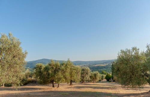 Agriturismo Vocabolo Poggio del Pero - Foto 75