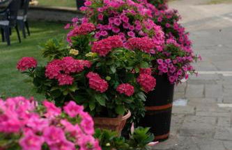 Agriturismo Bisenzio - Foto 23