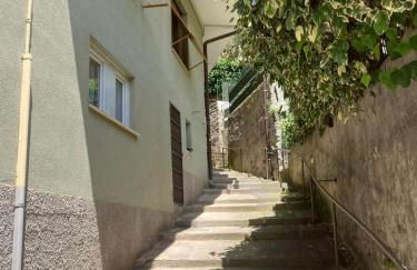 La melanetta - Photo 11